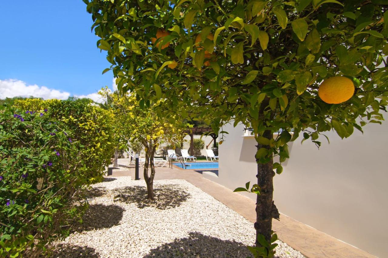 Nissi Adamite Villa Aya Napa Dış mekan fotoğraf